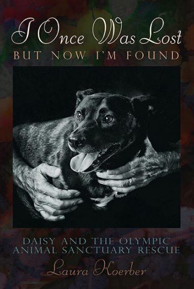 Featured Book:  I Once Was Lost, but Now I'm Found by Laura Koerber