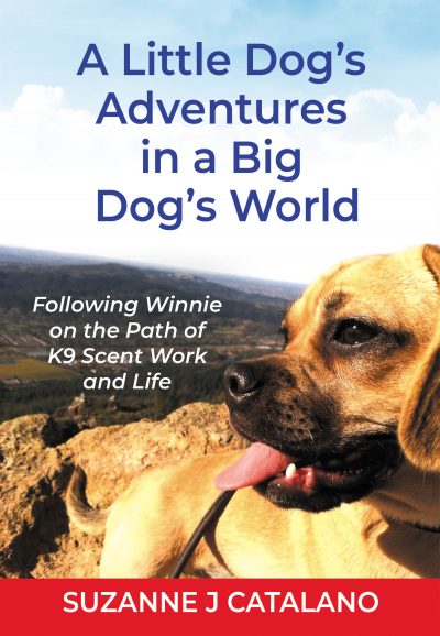 Featured Book: A Little Dog’s Adventures in a Big Dog’s World by Suzanne Catalano