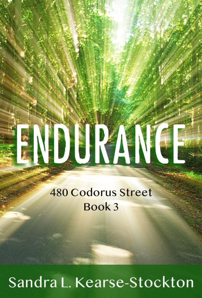 Featured Book: Endurance: 480 Codorus Street Book 3 by Sandra L. Kearse-Stockton